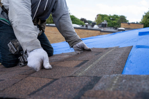 Best Storm Damage Roof Repair  in Pheasant Run, OH